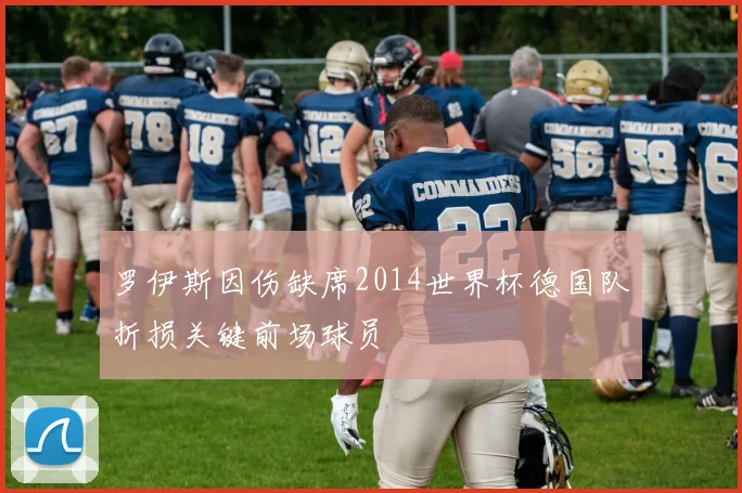 罗伊斯因伤缺席2014世界杯德国队折损关键前场球员